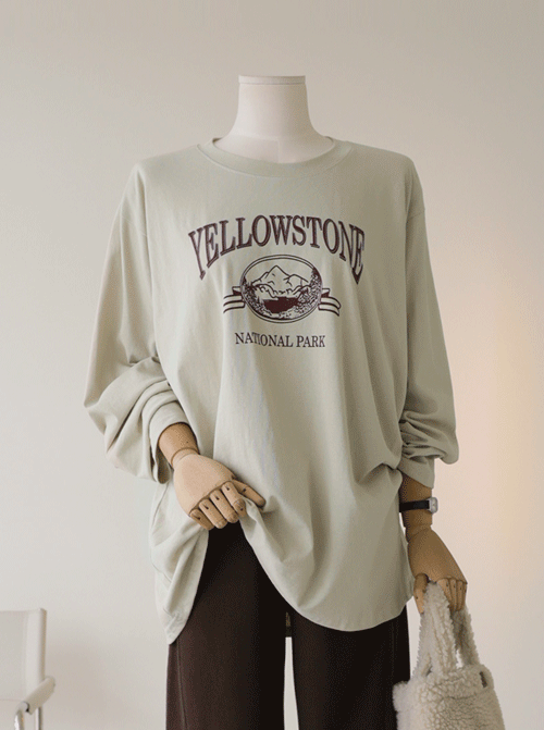 ザモールティーシャツ T10962