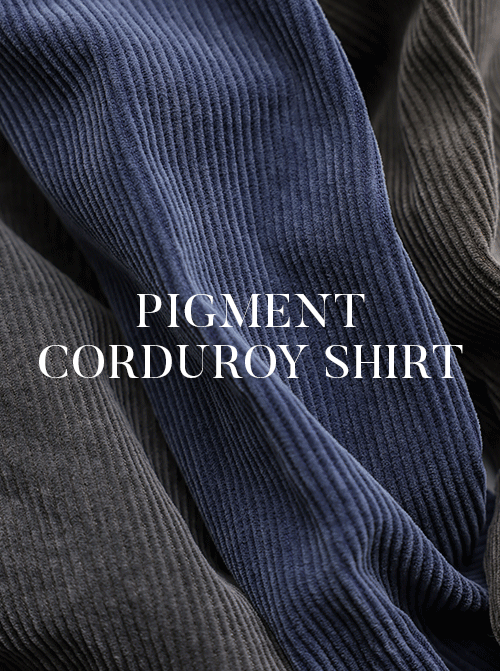 アルボラゴールデンシャツ T10997