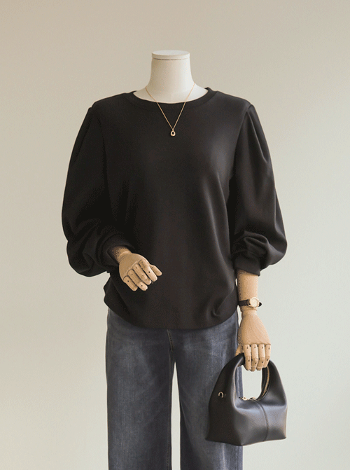 スベルンパフティーシャツ T11231